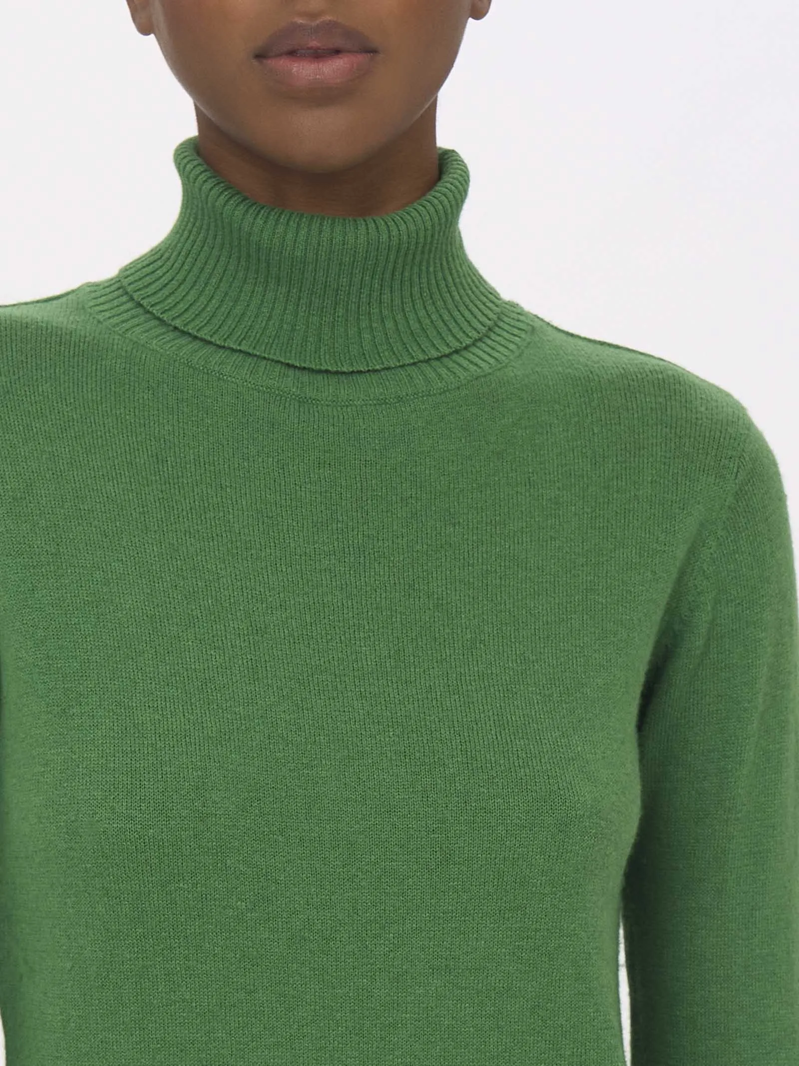 Juniper Nice Wool Sweater with Roll Neck