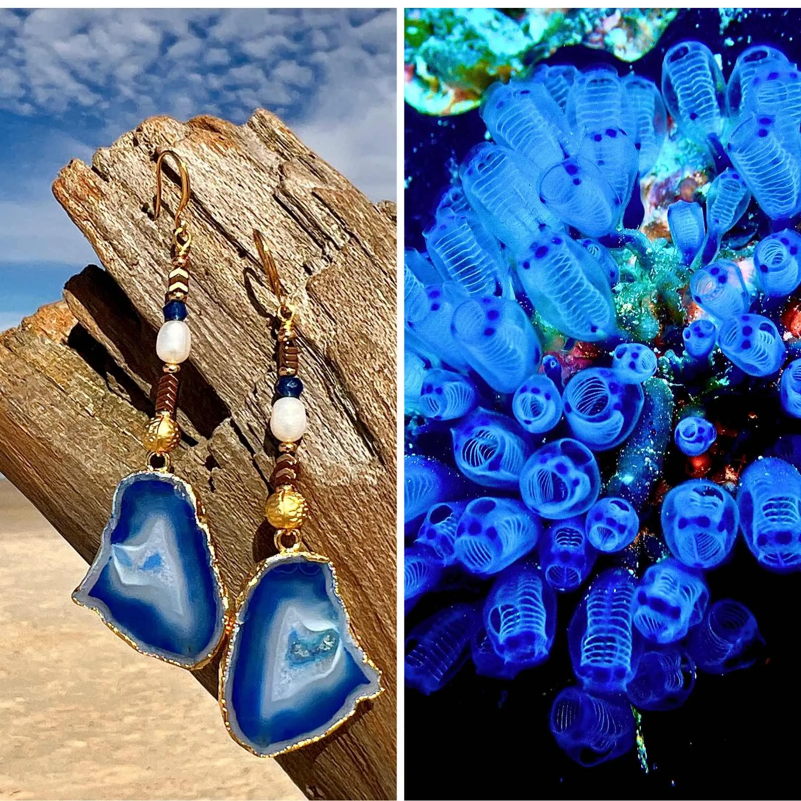 Sea Squirt Collection Earrings